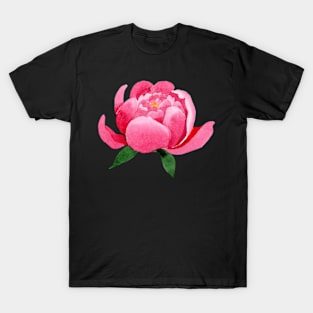 Flower Watercolor T-Shirt